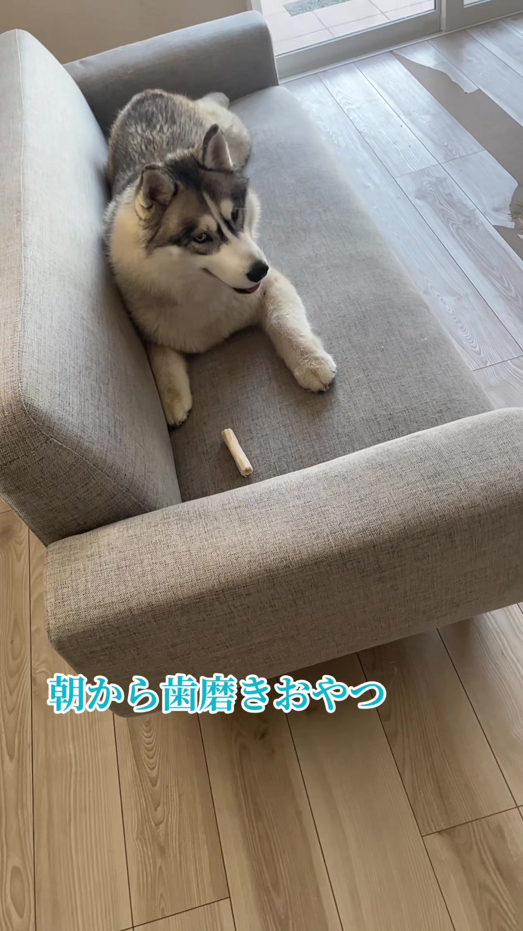 @サン☀️とムーン🌙