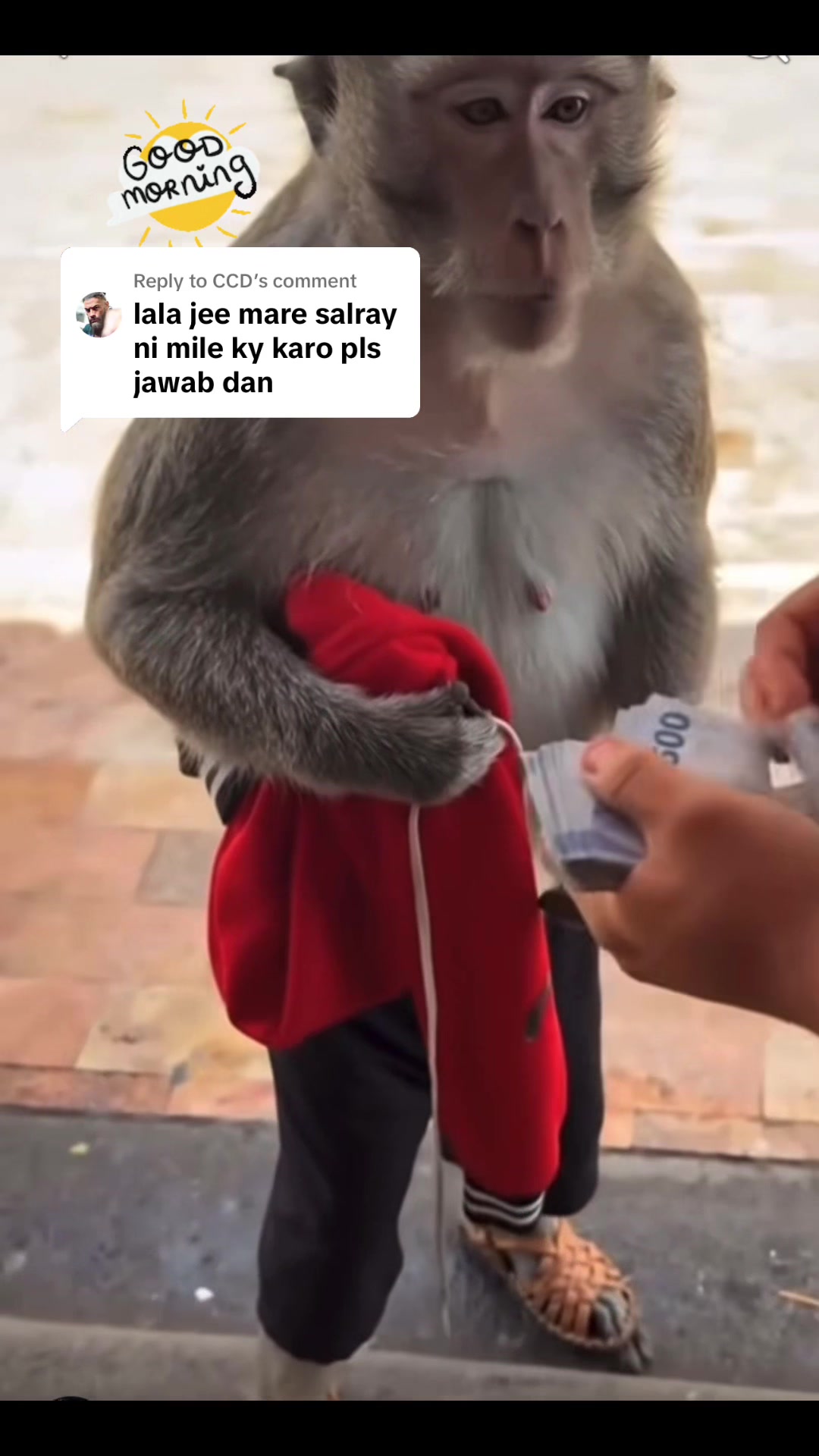 @PAGAL