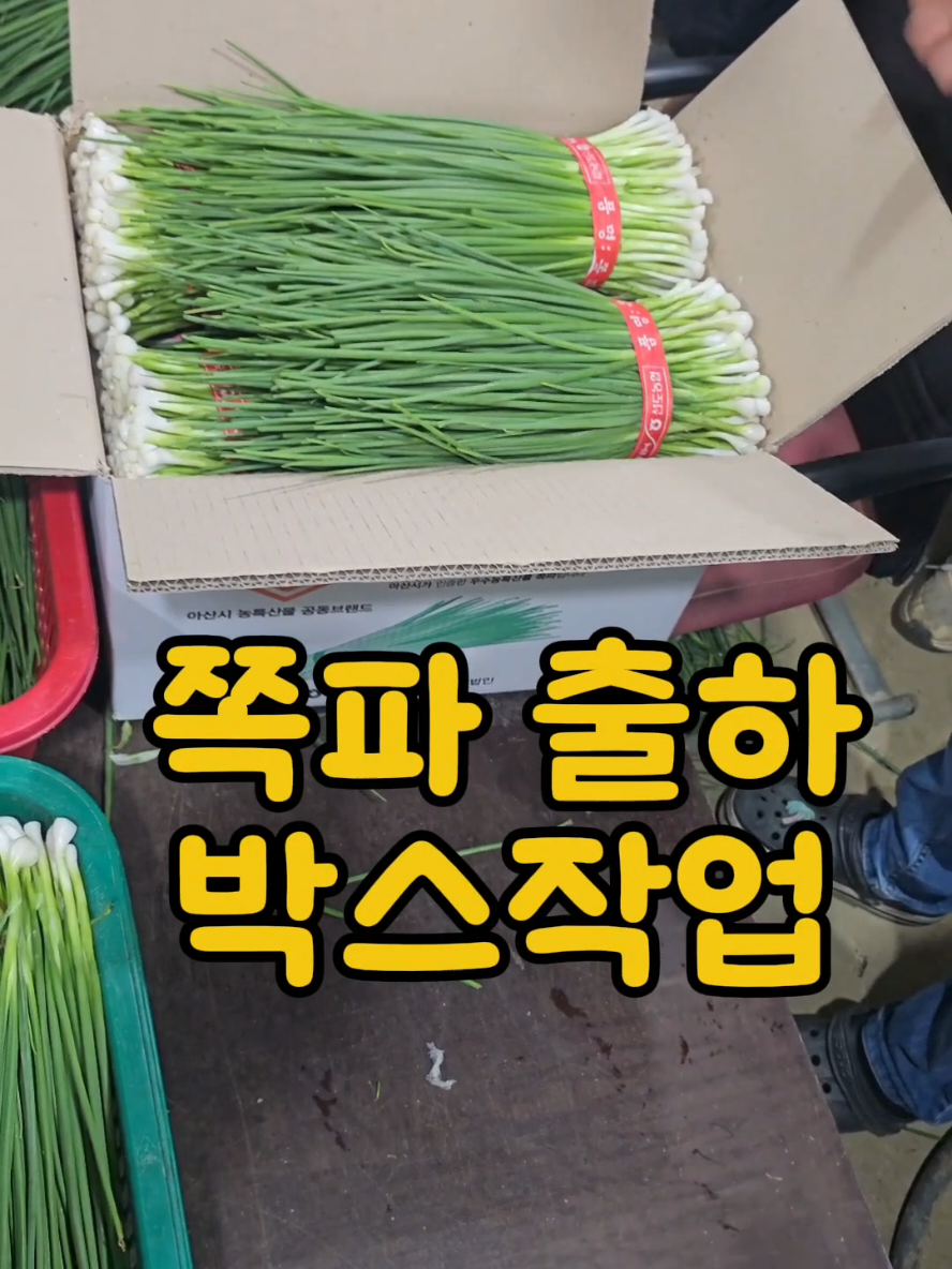 @나미제이