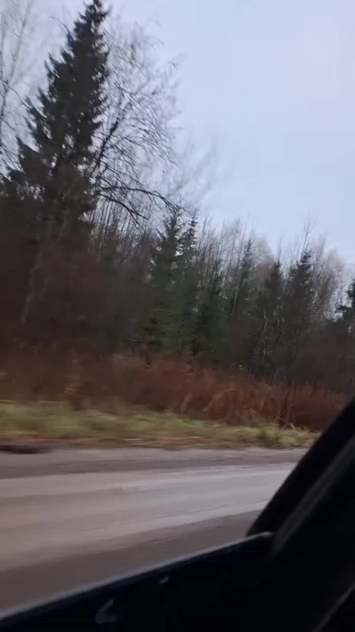 @дима