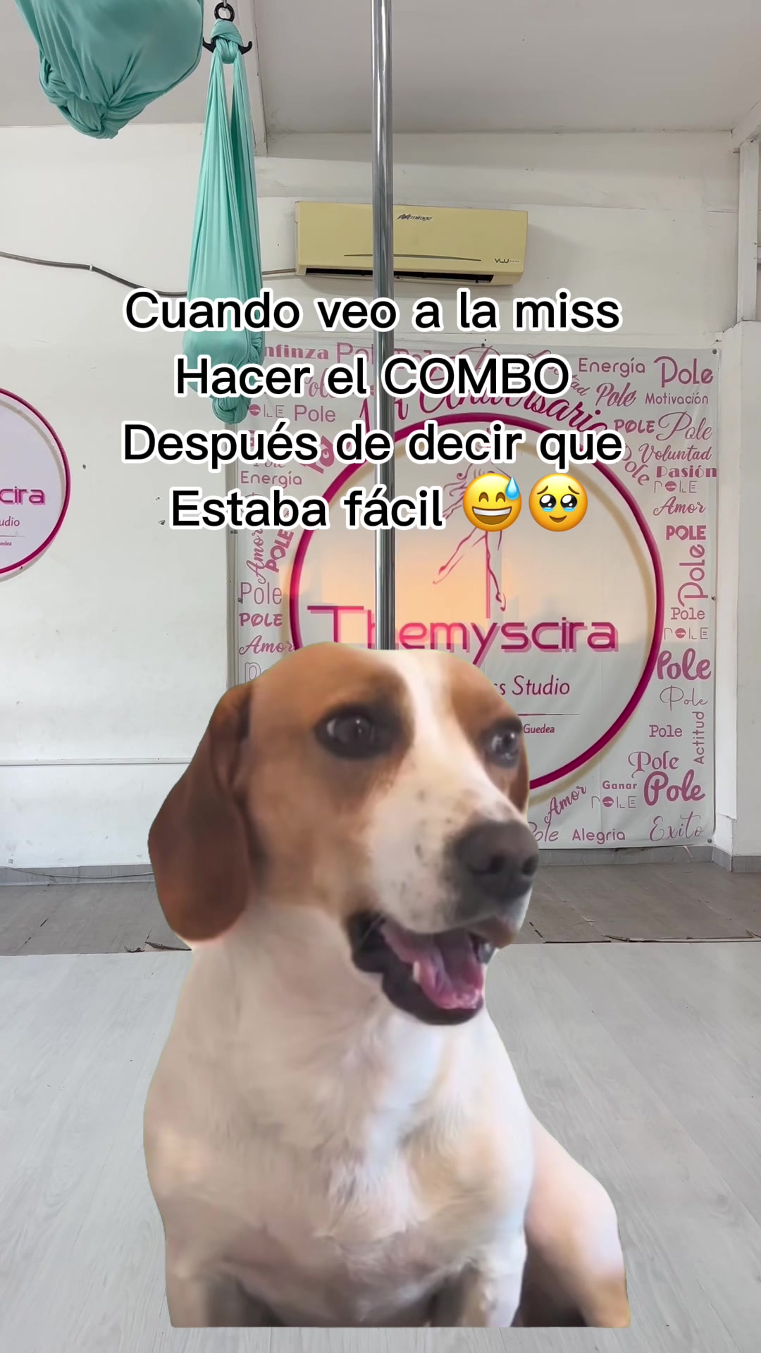 @ALE GUEDEA