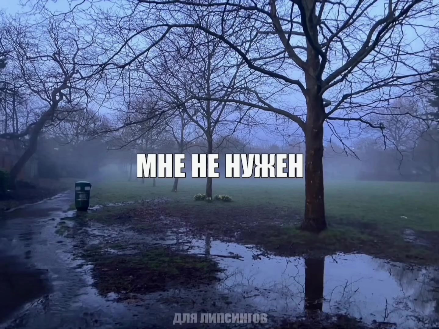 @для липсингов