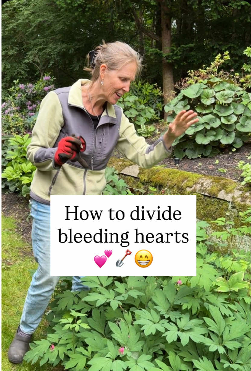 @You Can Do It Gardening