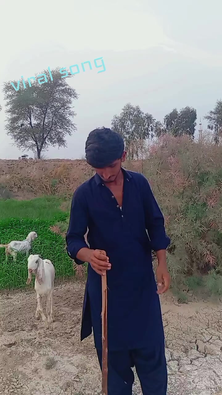 @سردار 🫀