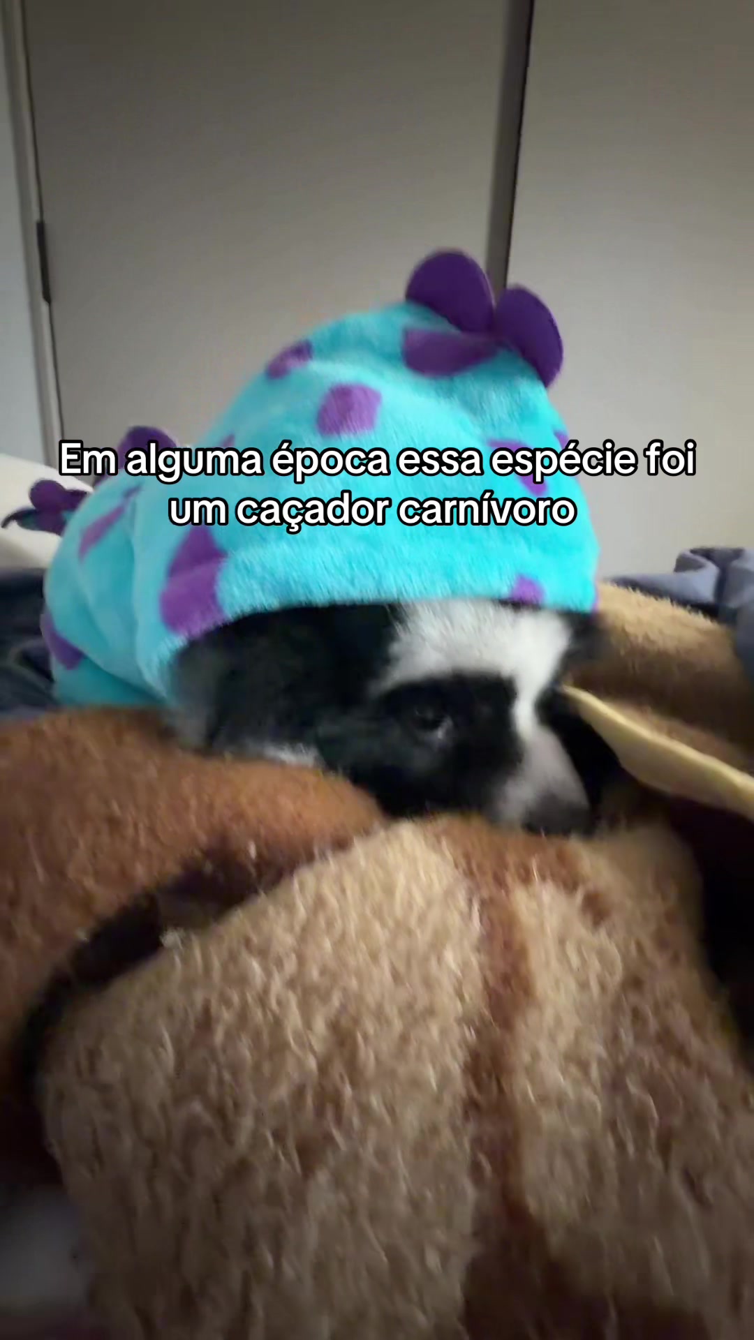 @Juliana Mauro