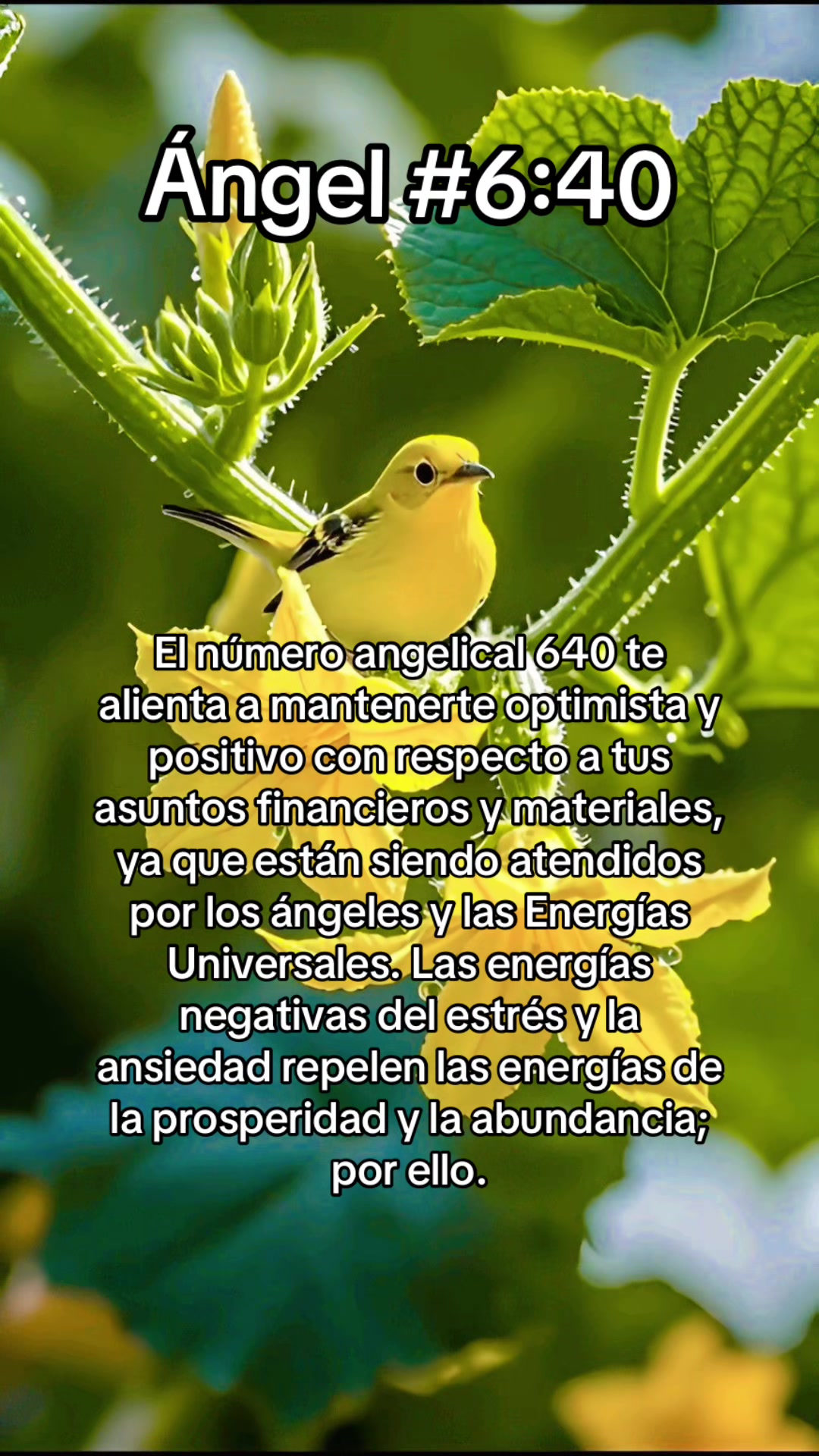 @ᑭOᖇTᗩᒪ Oᖴ EᔕᔕEᑎTIᗩᒪ ᒪIGᕼT