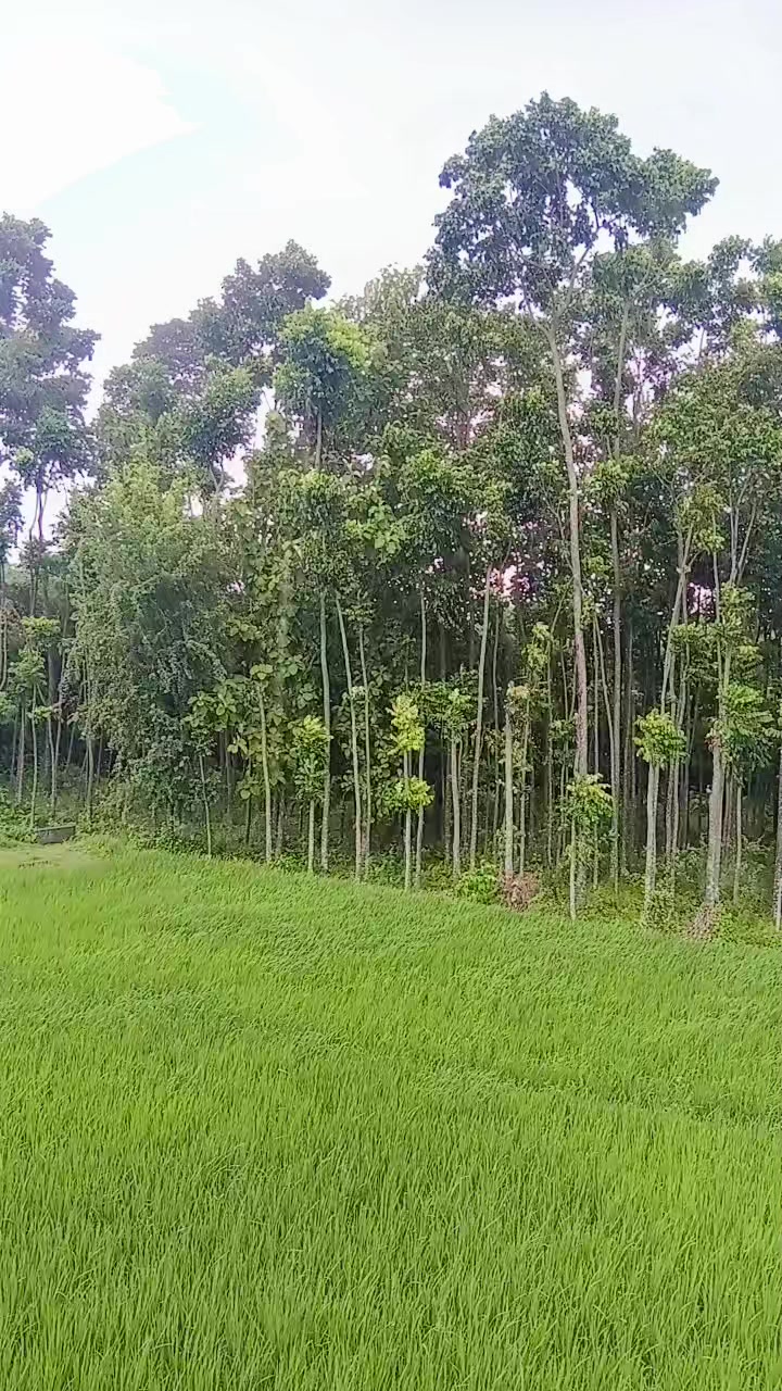 @Ranjita Basnet