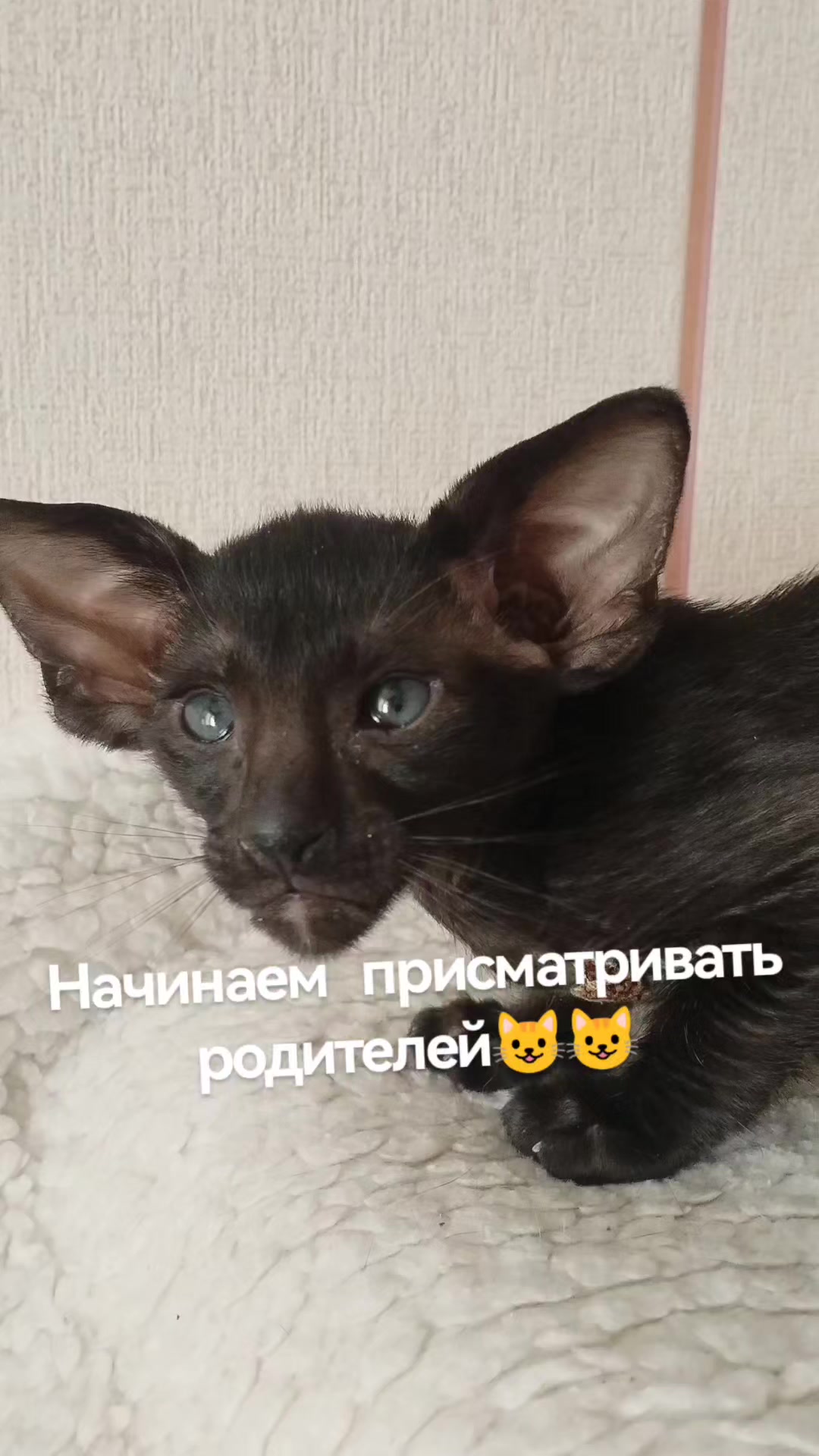 @Наталья
