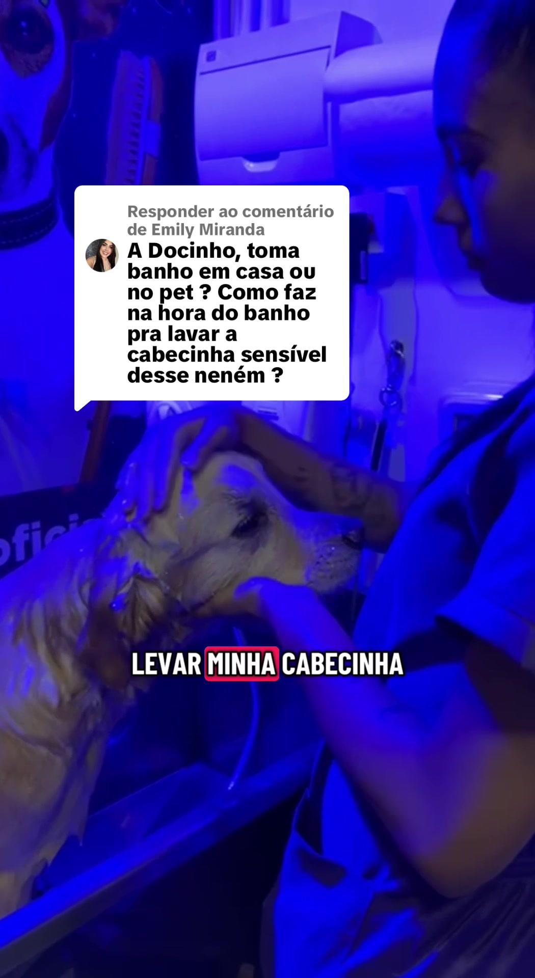 @Docinho, a golden especial.