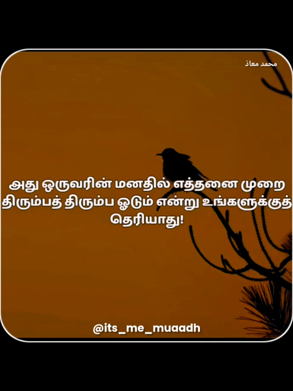 @𝗜𝘁'𝘀 𝗠𝗲 𝗠𝗨𝗔𝗔𝗗𝗛