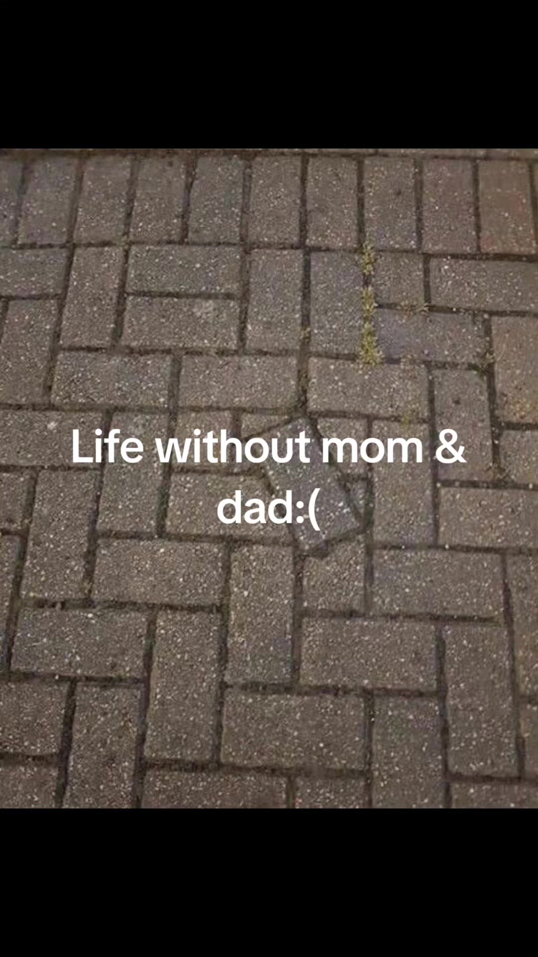 @BoB