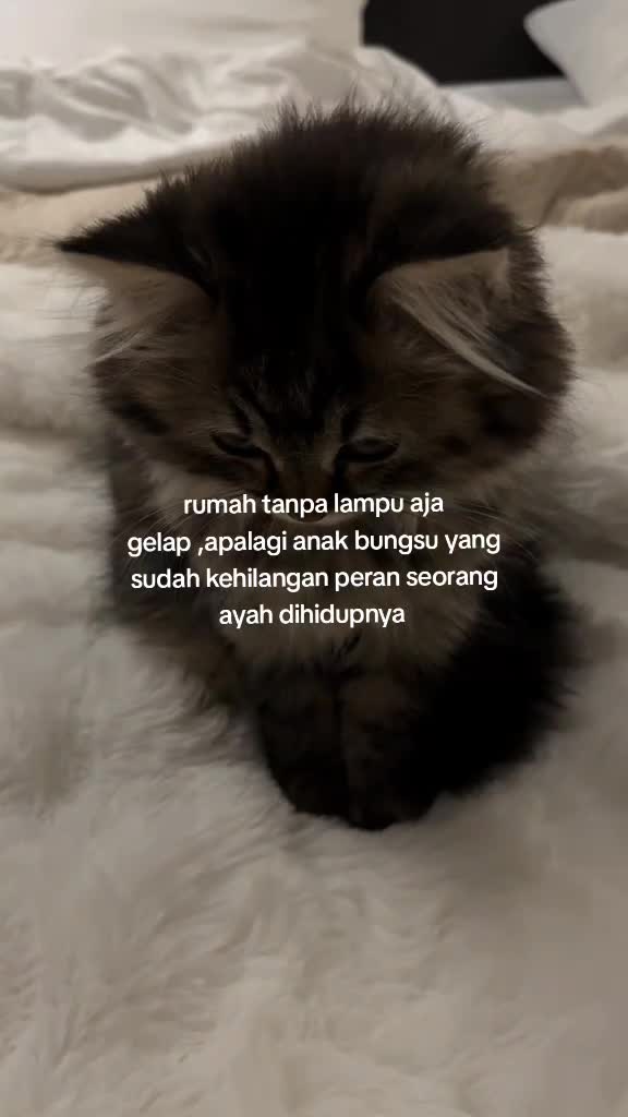 @kejuuuus1