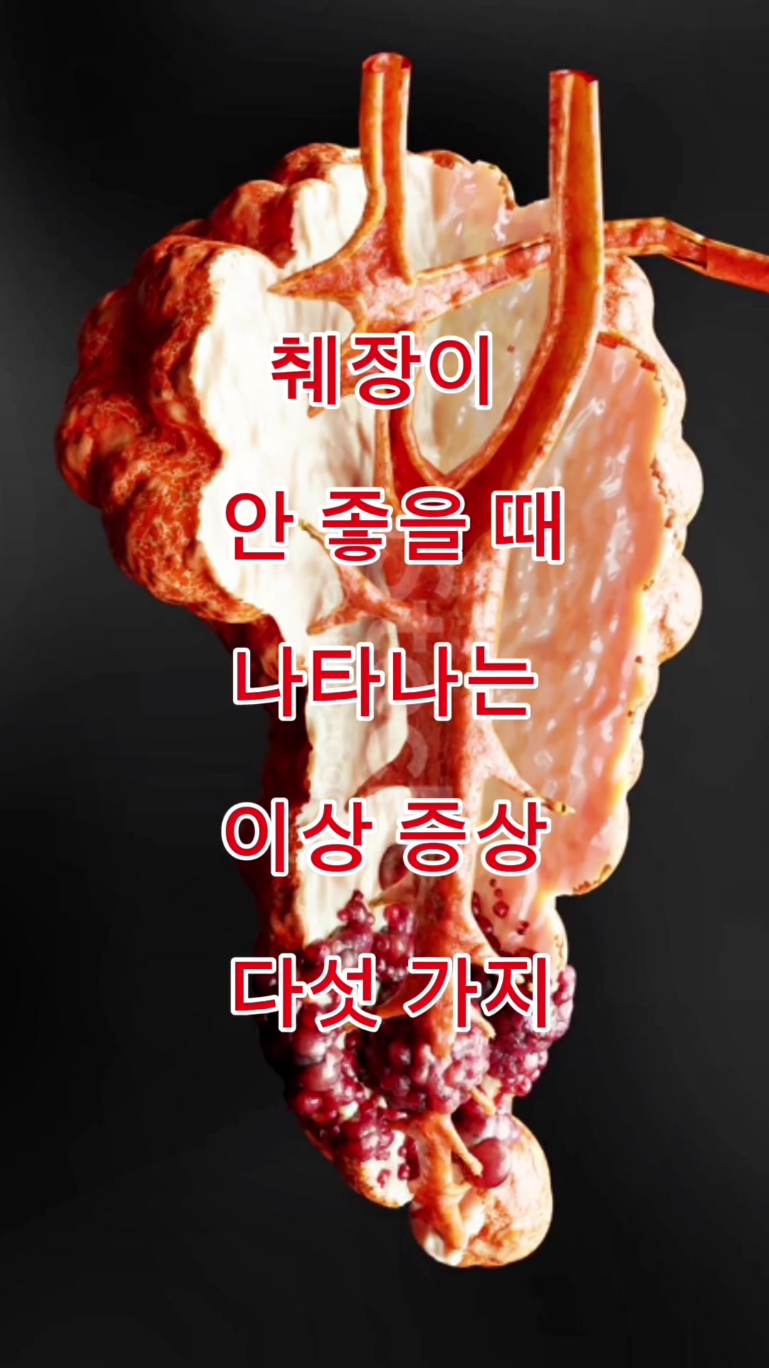 @김 박사입니다