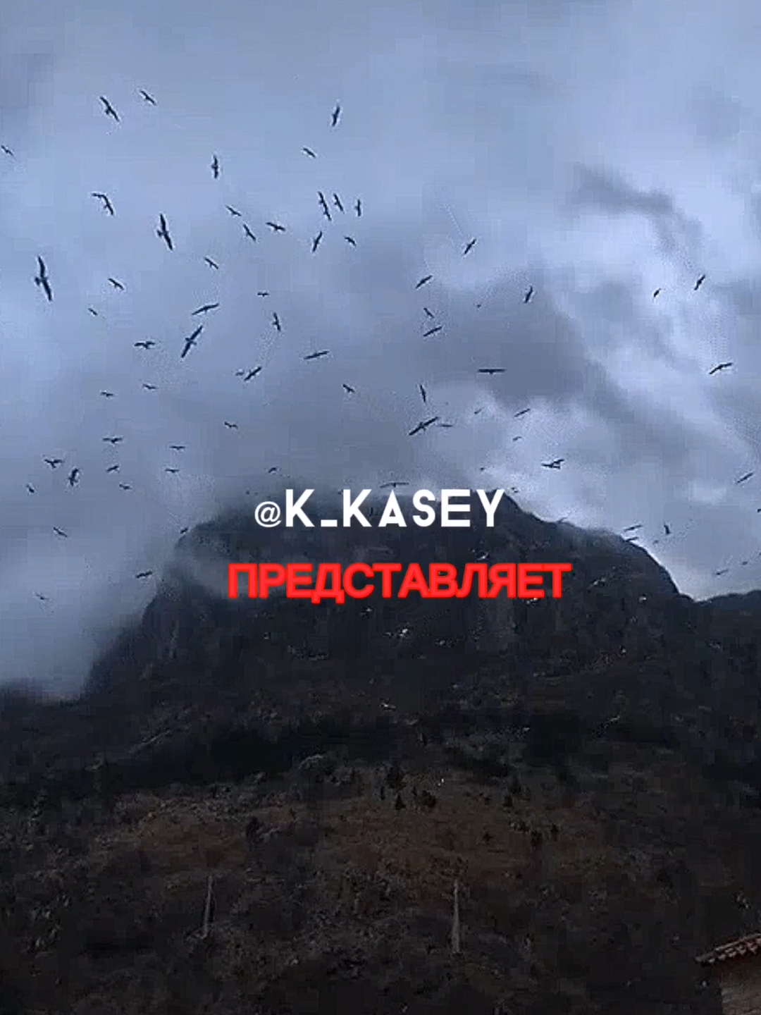 @Kasey ✔️
