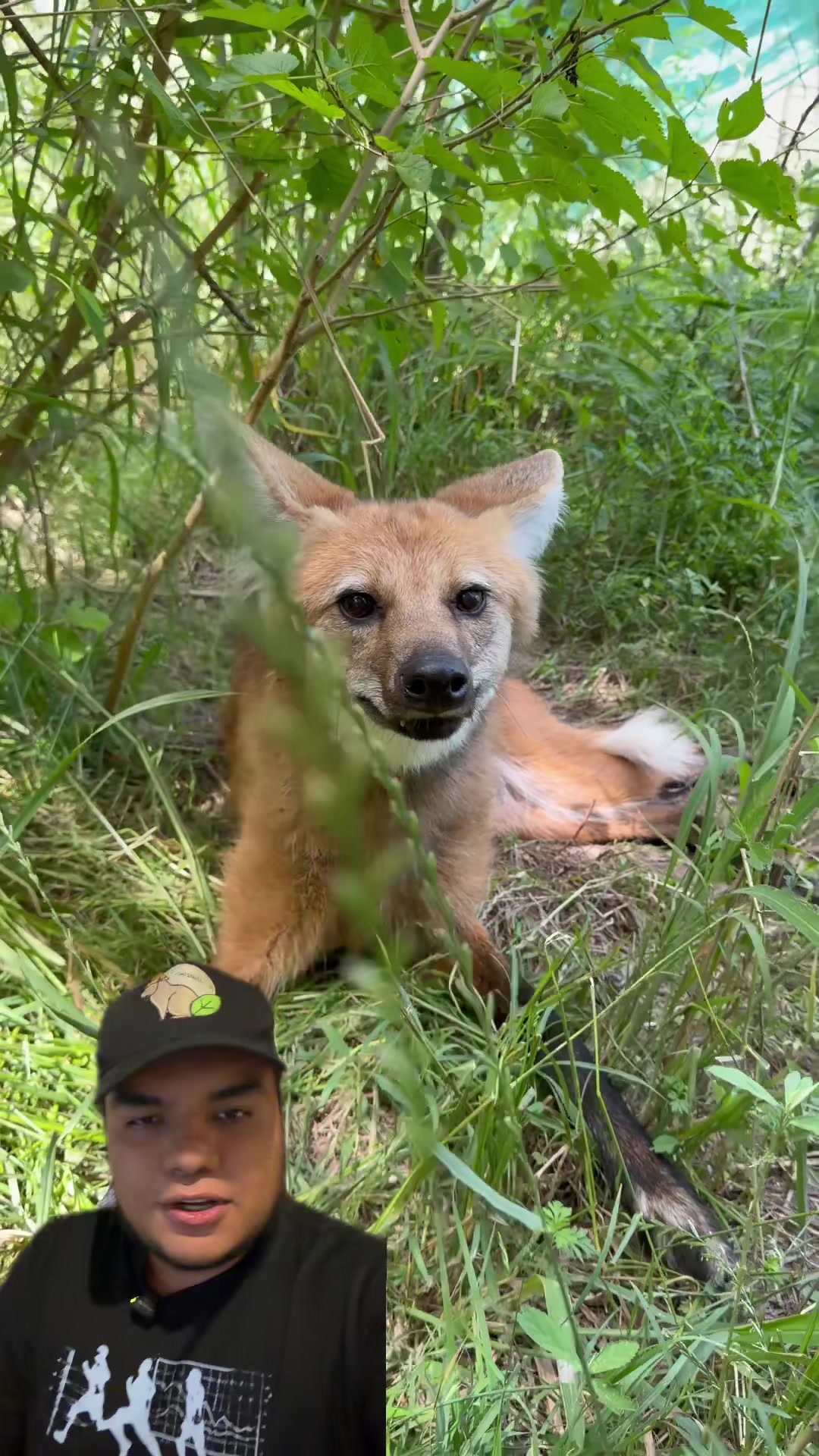 @Jair Herrera 🐆