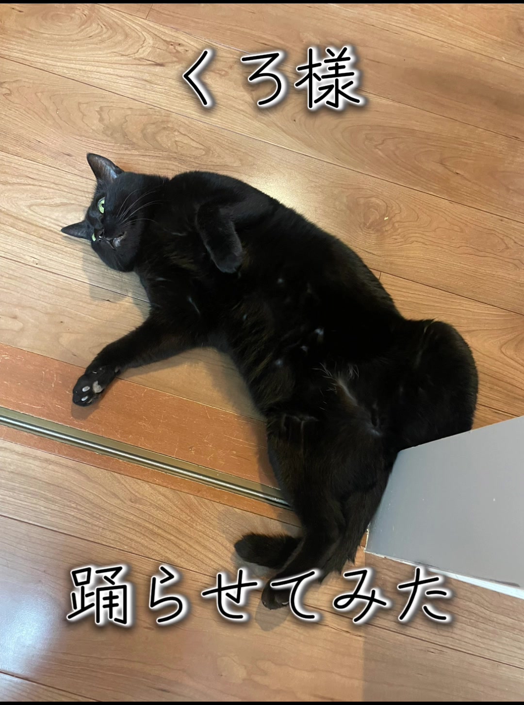 @Chikurokie