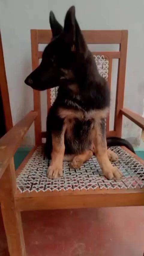 @mahi baba❤️🤭