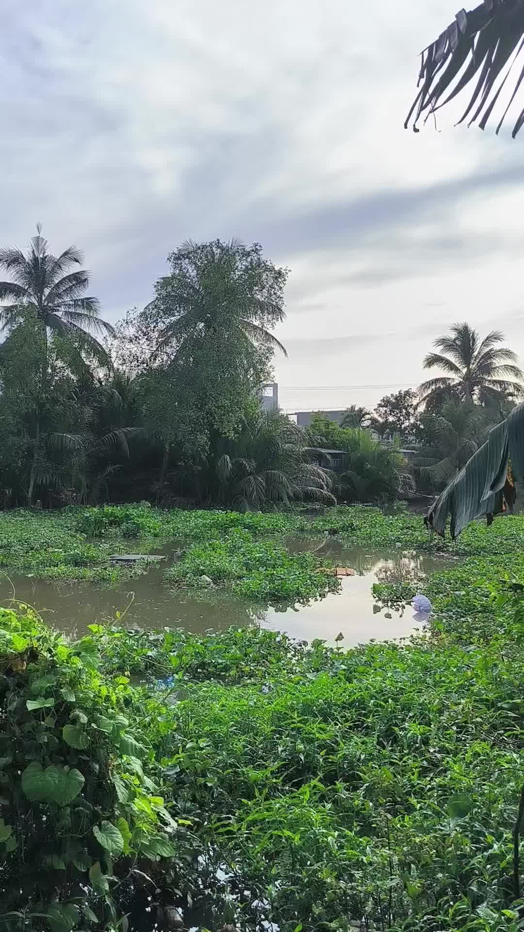 @Thợ Săn HuGo 🐟