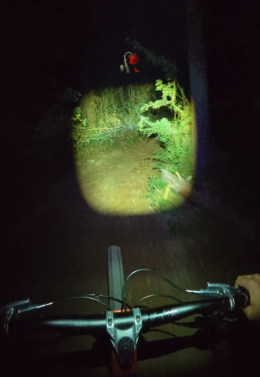@Yalnız Pedalşör