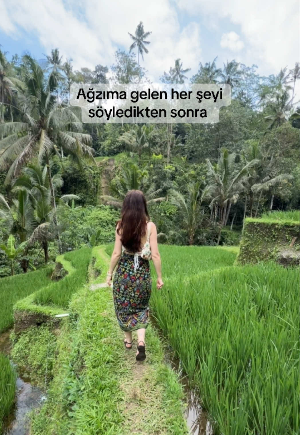 @Elif Solmaz