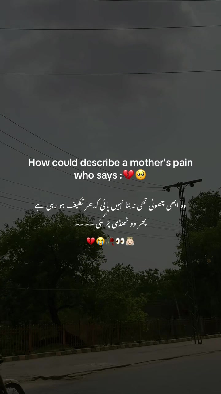 @🕊️♥️🥀
