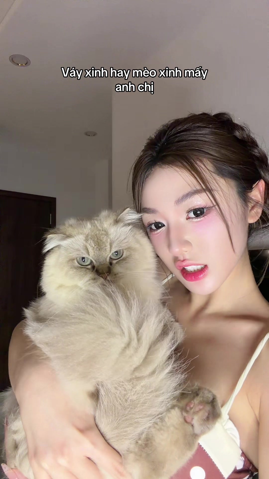 @Đặc vụ meo meo