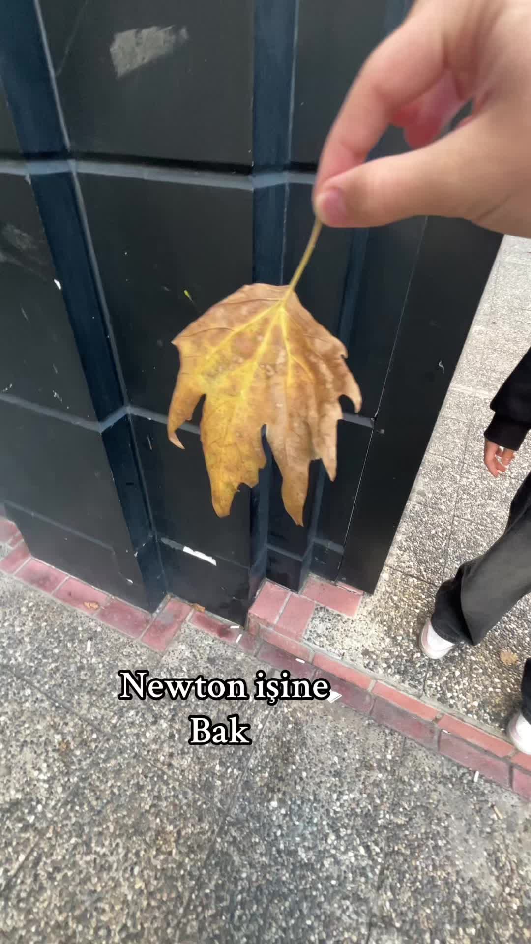 @user2771734