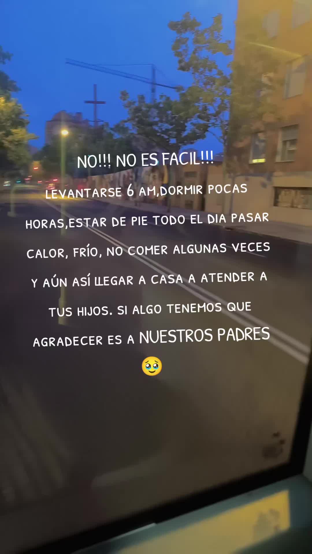 @Aracely Ramos