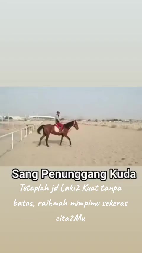 @tedi subrata