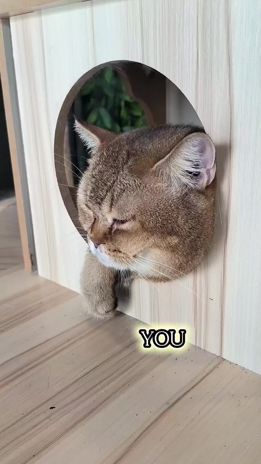 @tessayusoff