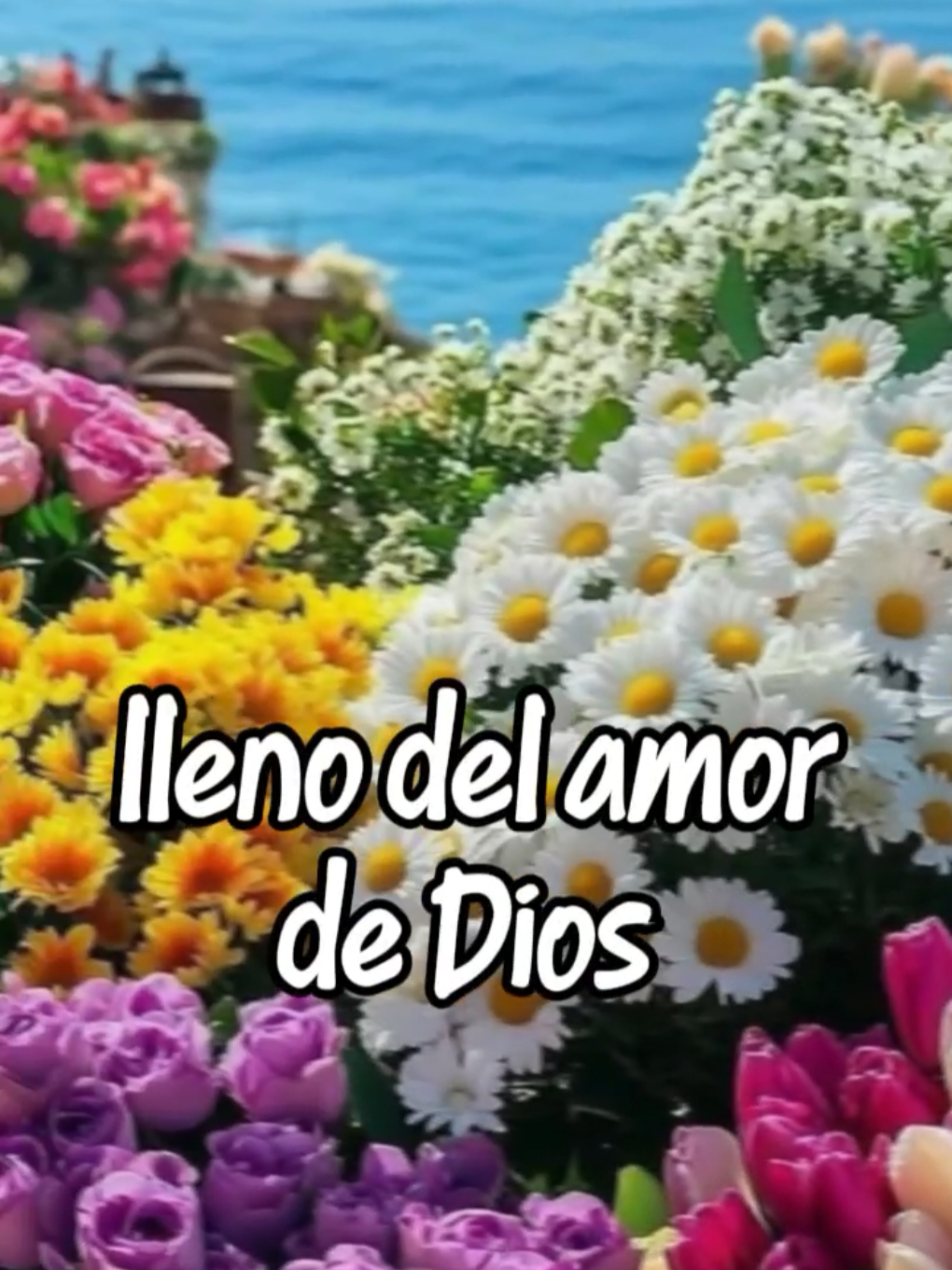 @Arely Mendoza Frases bonitas