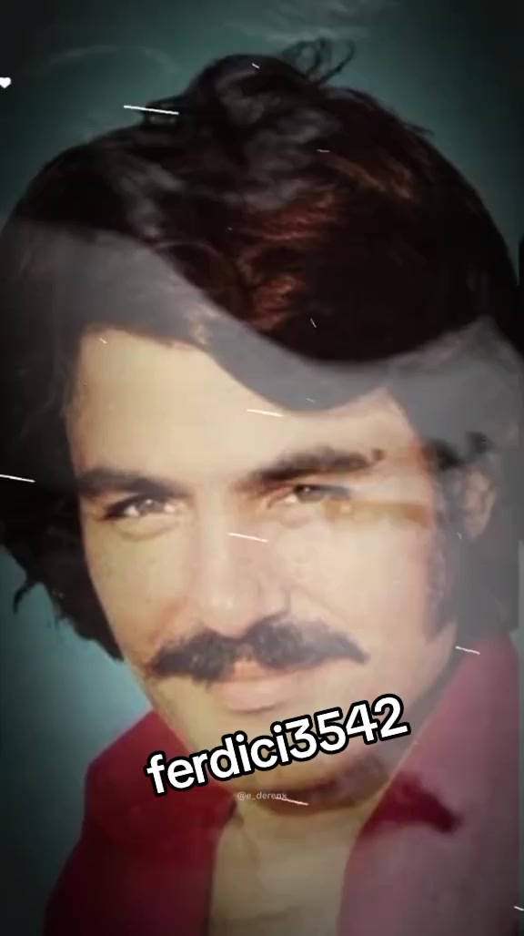 @ferdici3542