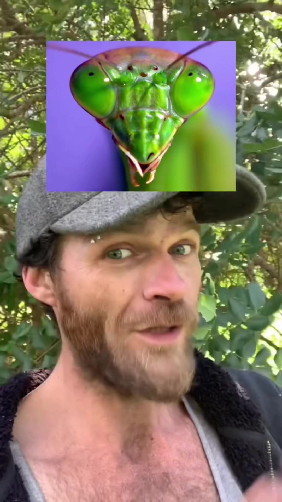 @Jimmy_Here🇦🇺