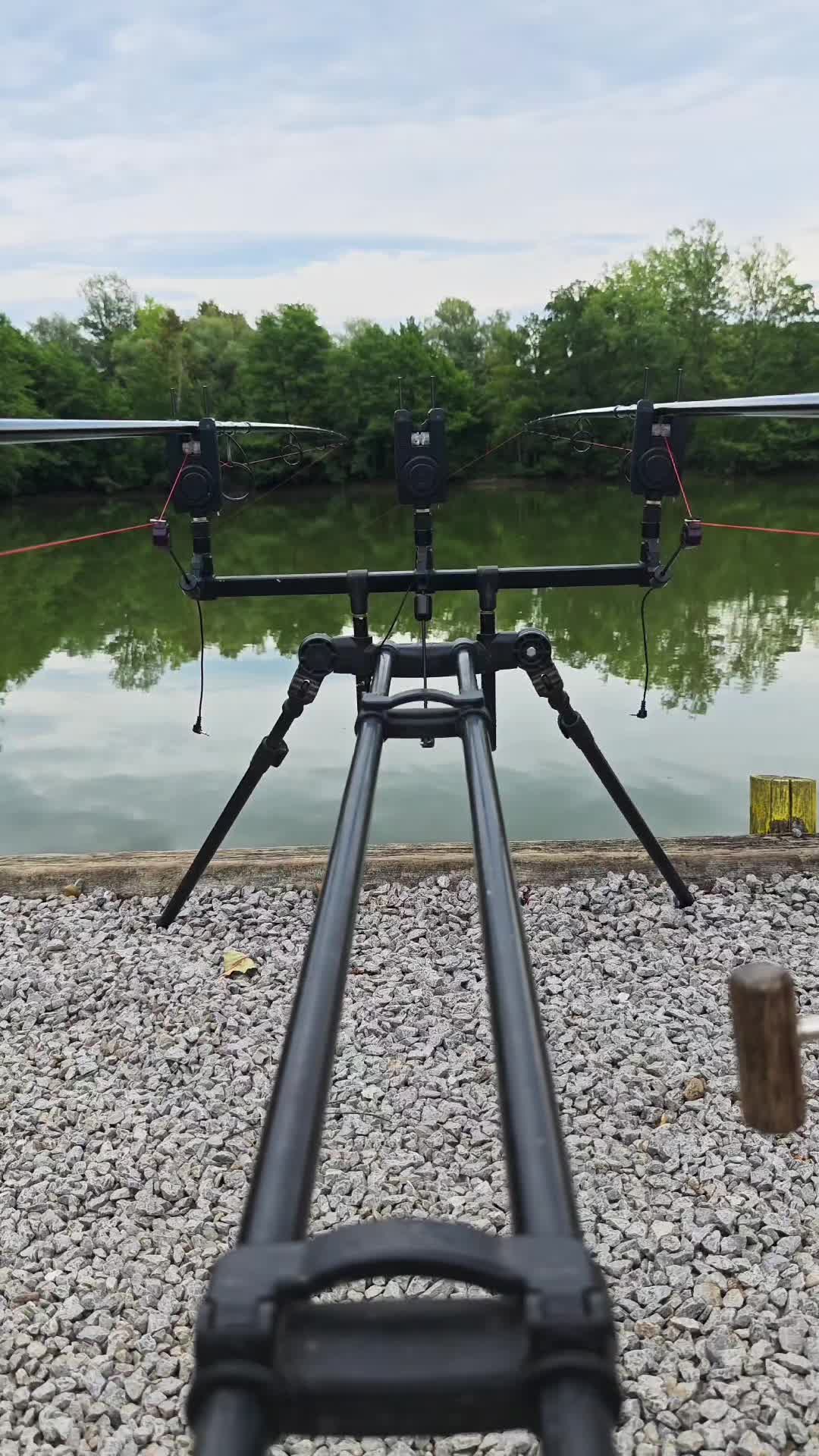 @Carp Passion -Marac