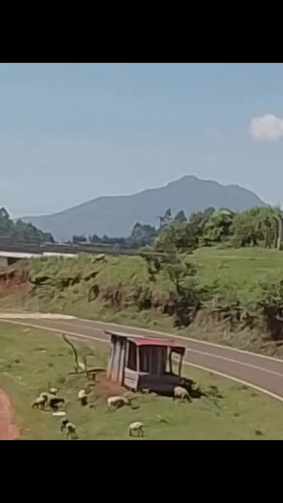 @merry_wanjiko