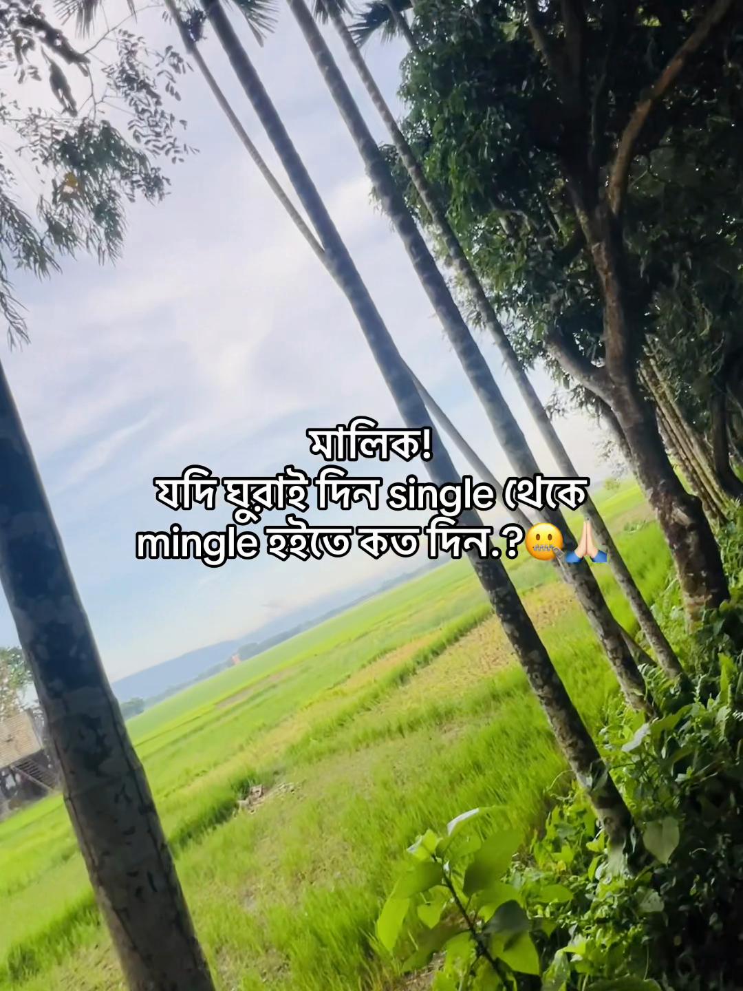 @টিক-টিকি