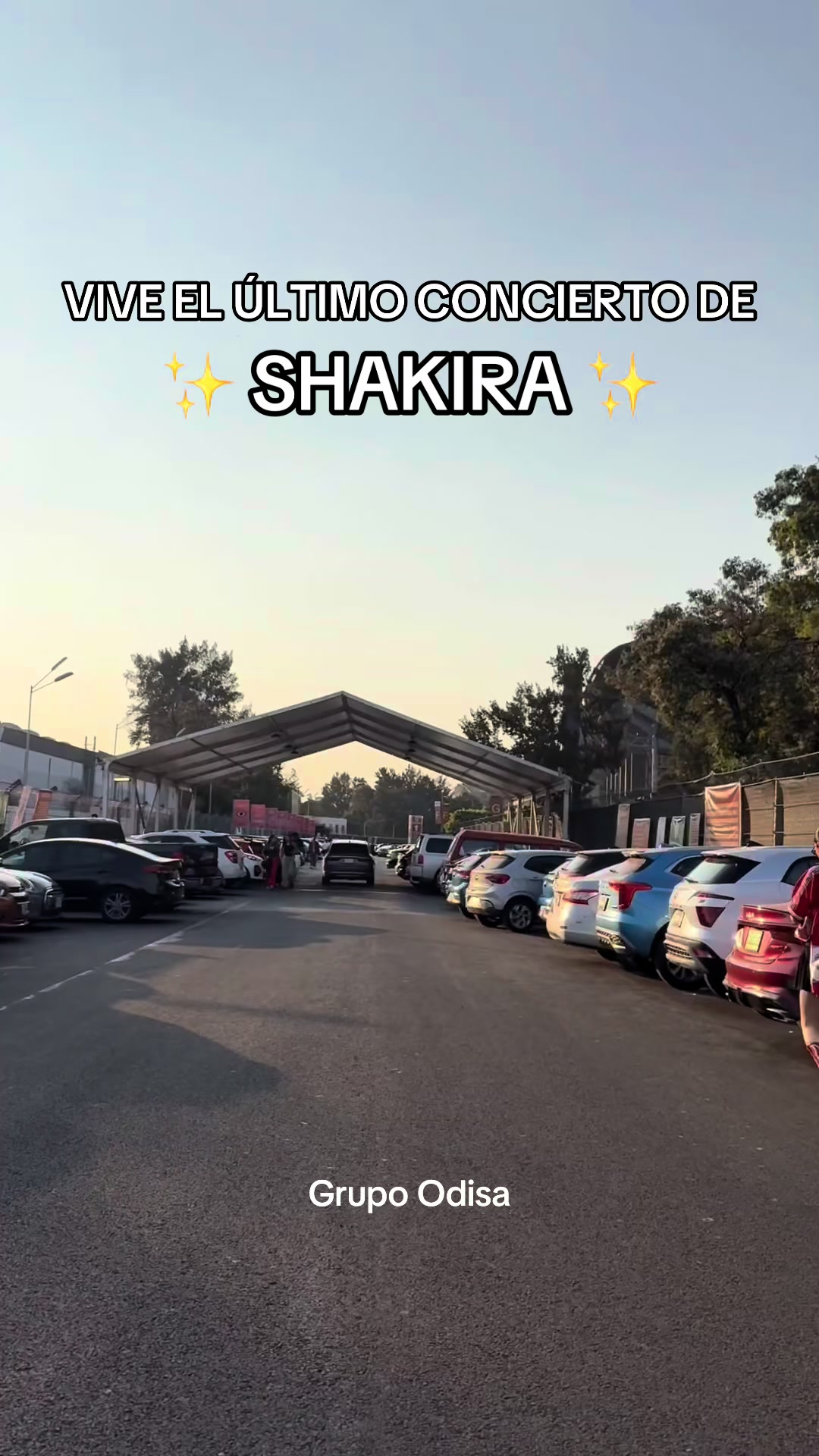 @Grupo Odisa