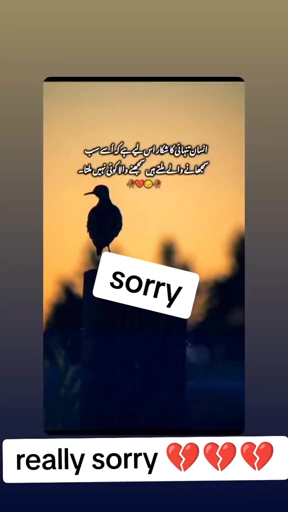 @jutt88