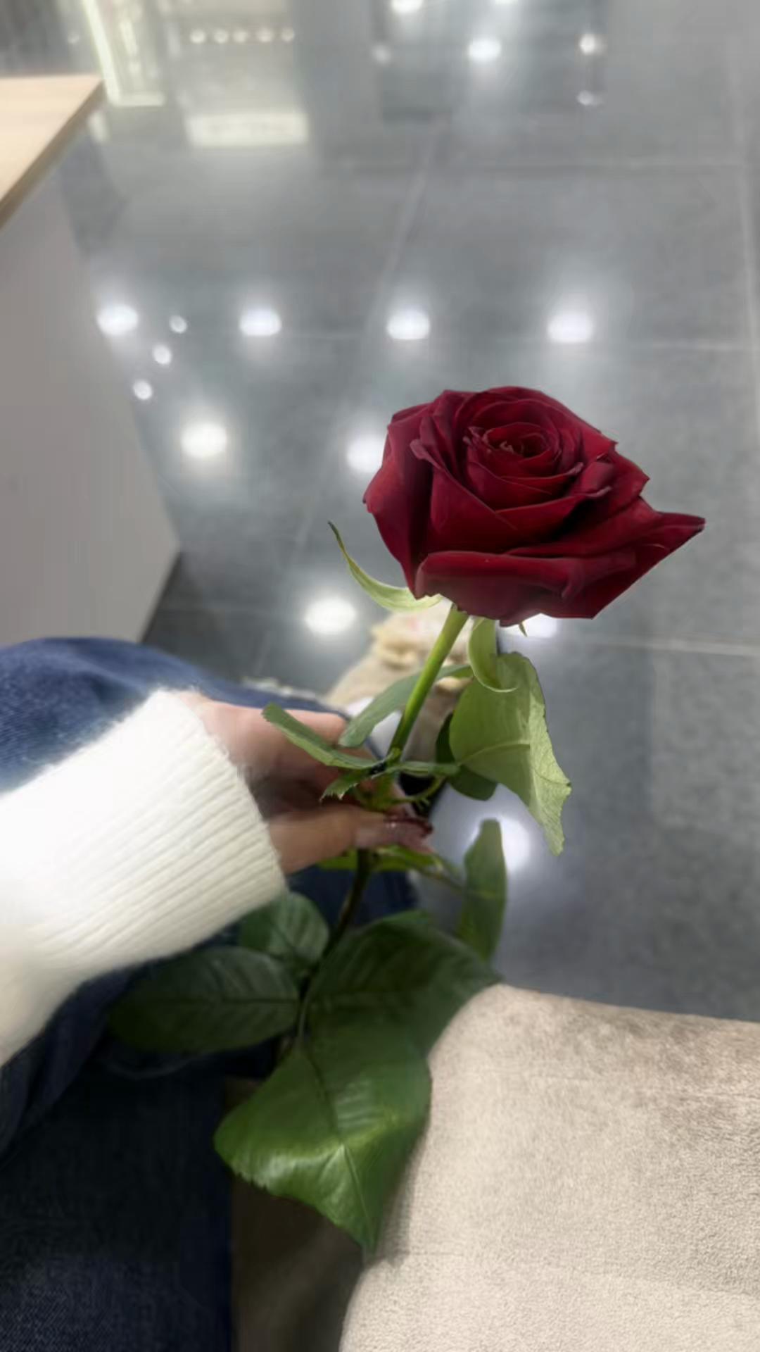 @Şəhanə🎀
