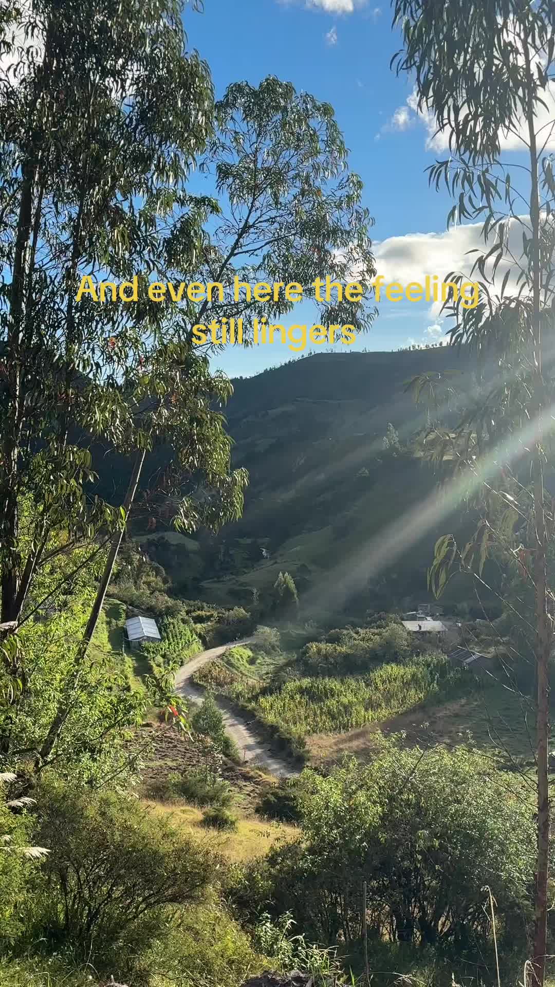 @noahweenie