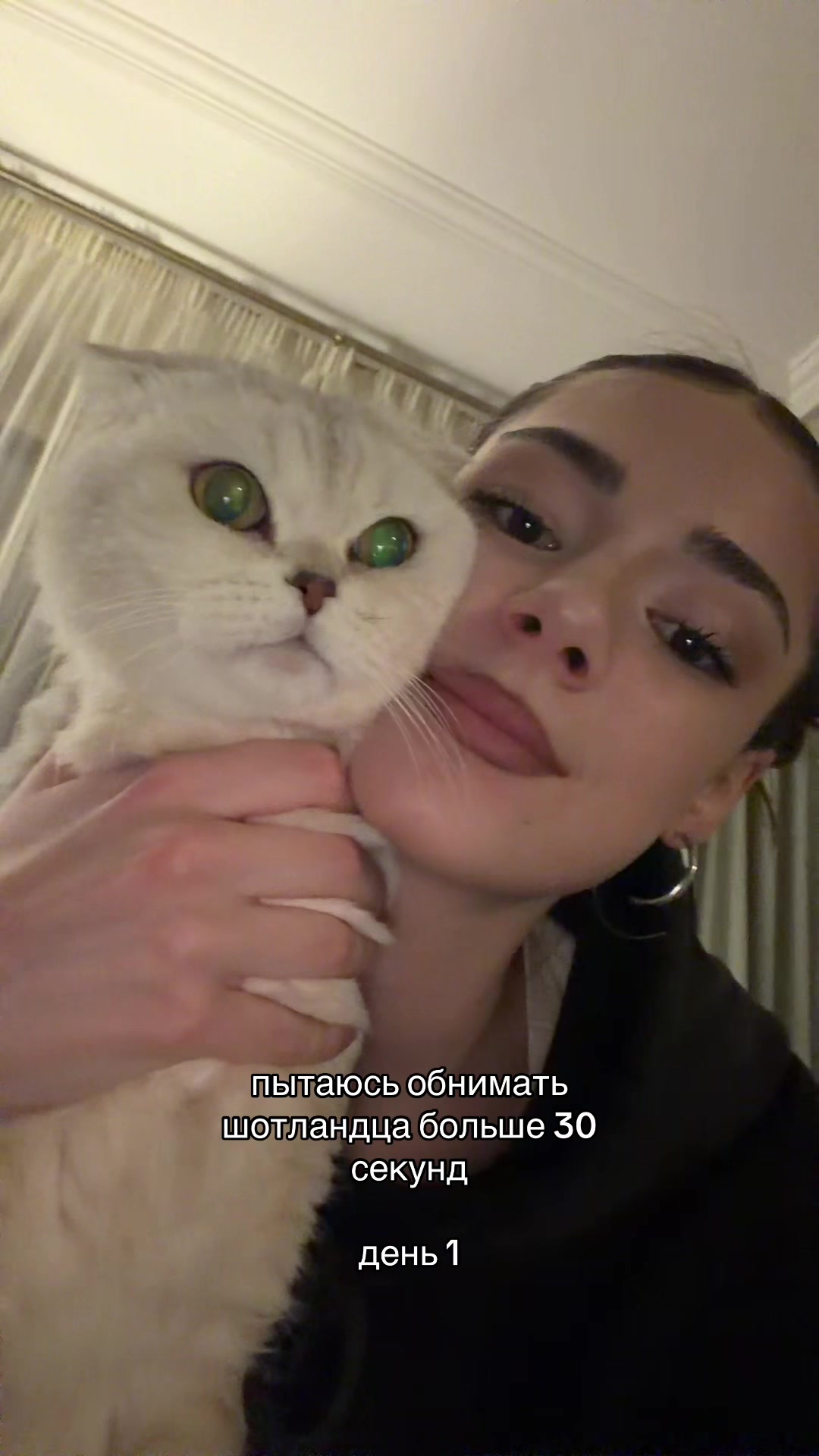 @renata toxic