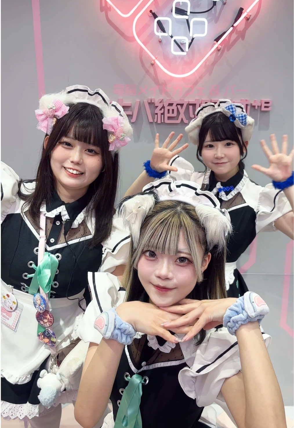 @メイドカフェ アキバ絶対領域