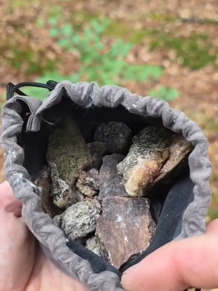 @winter_and_bushcraft