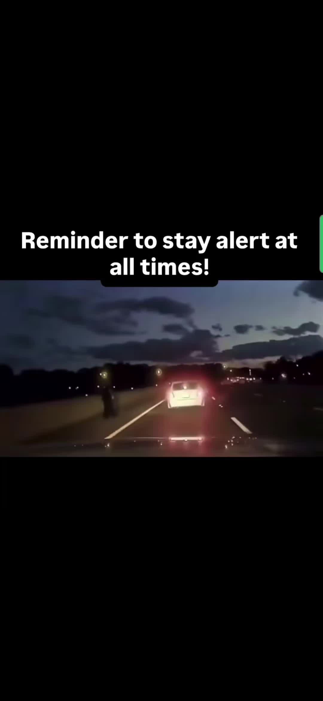 @BluePawsMatter