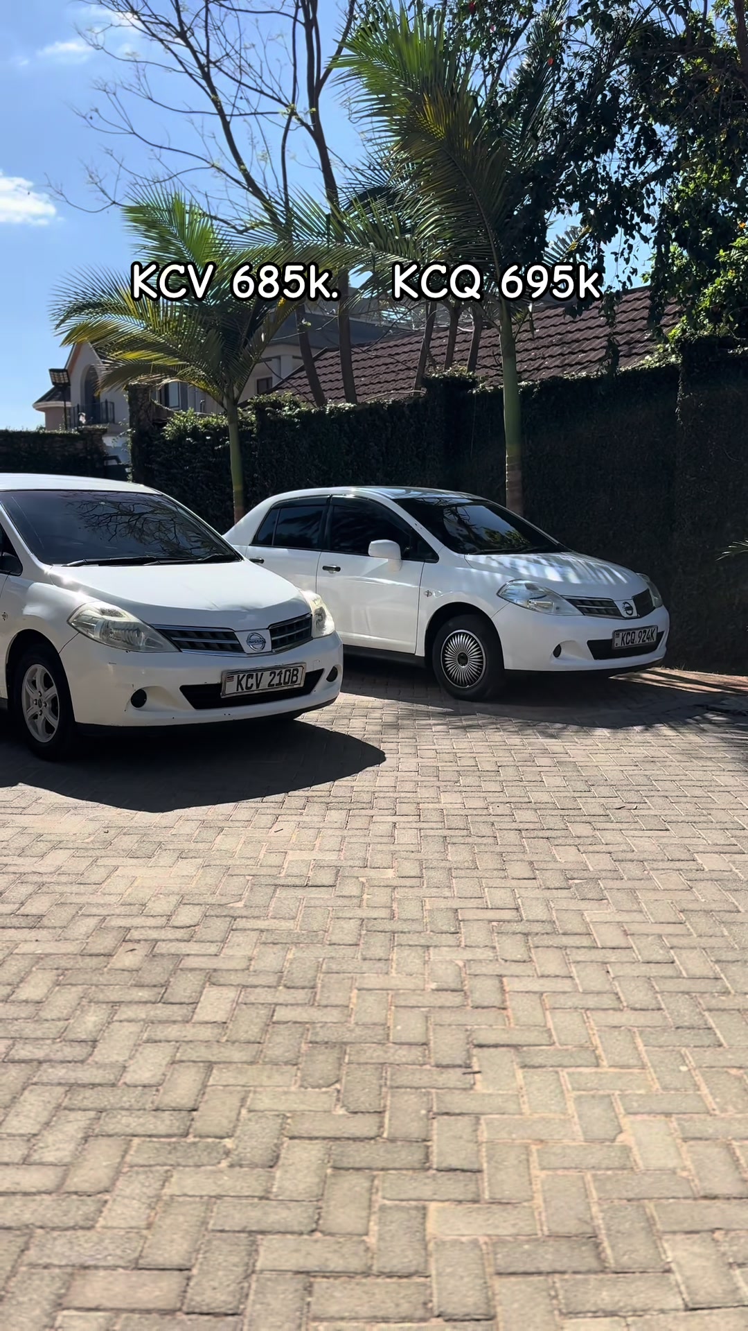 @Hashi Cars