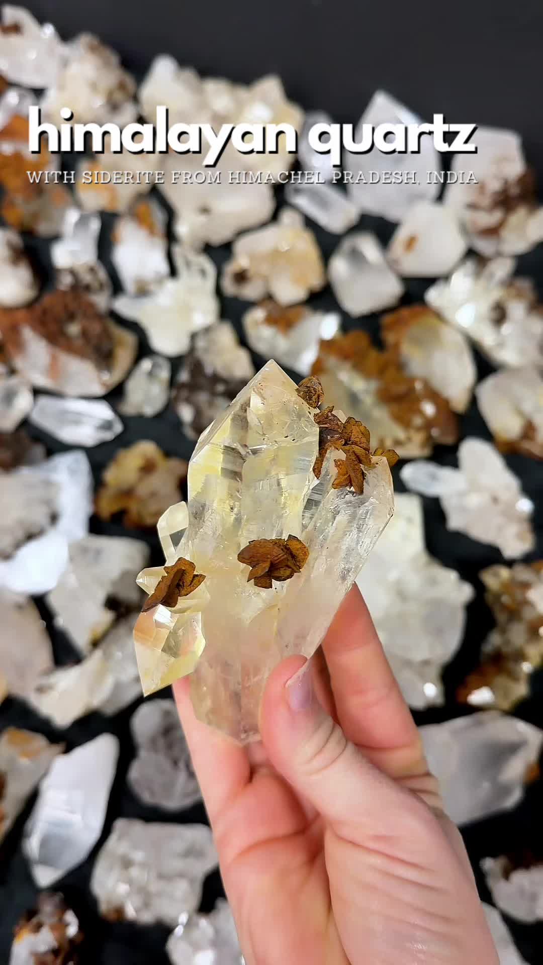 @Crystal Live Emporium✨Natalie