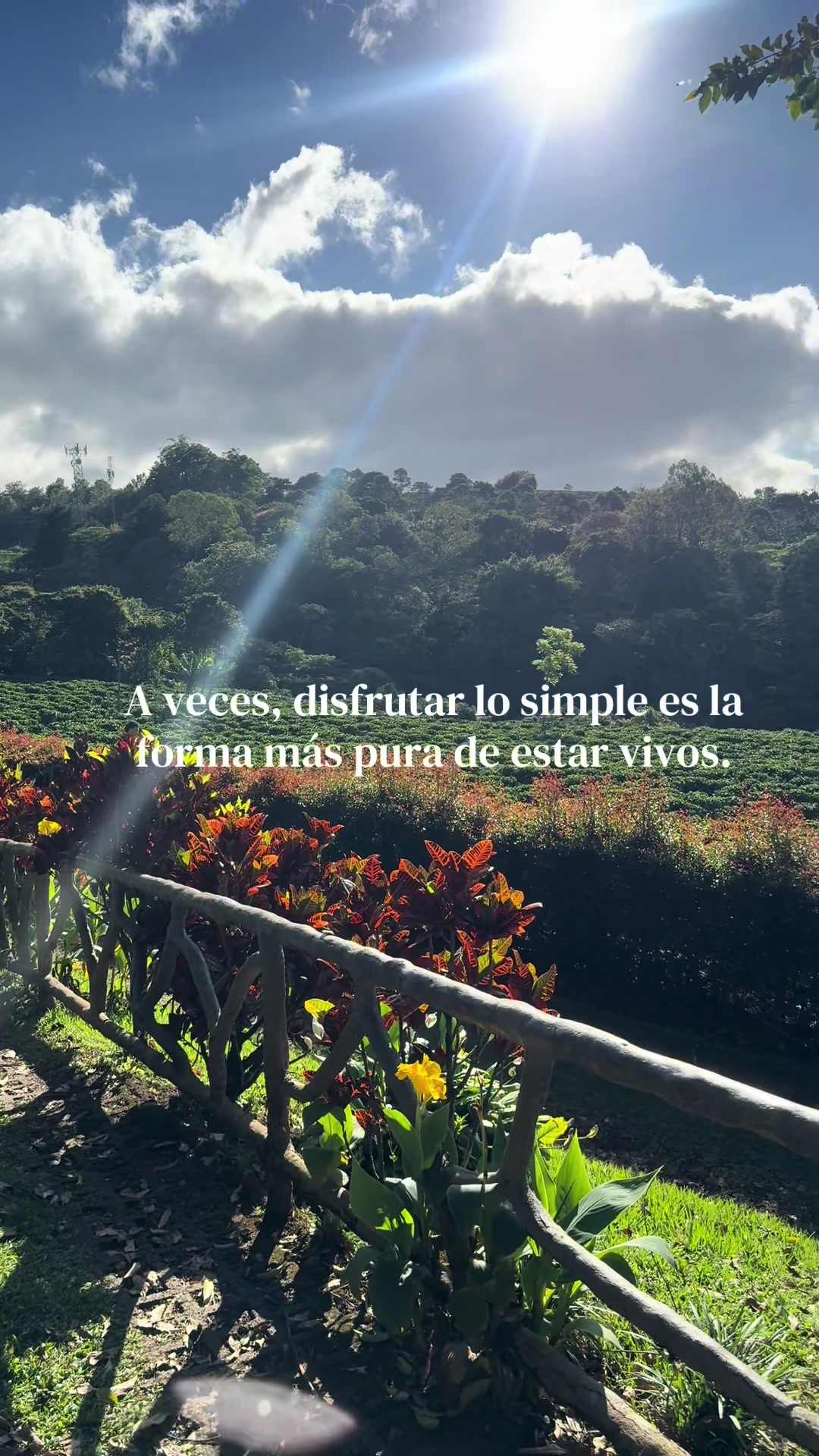 @Cecilia Hurtado