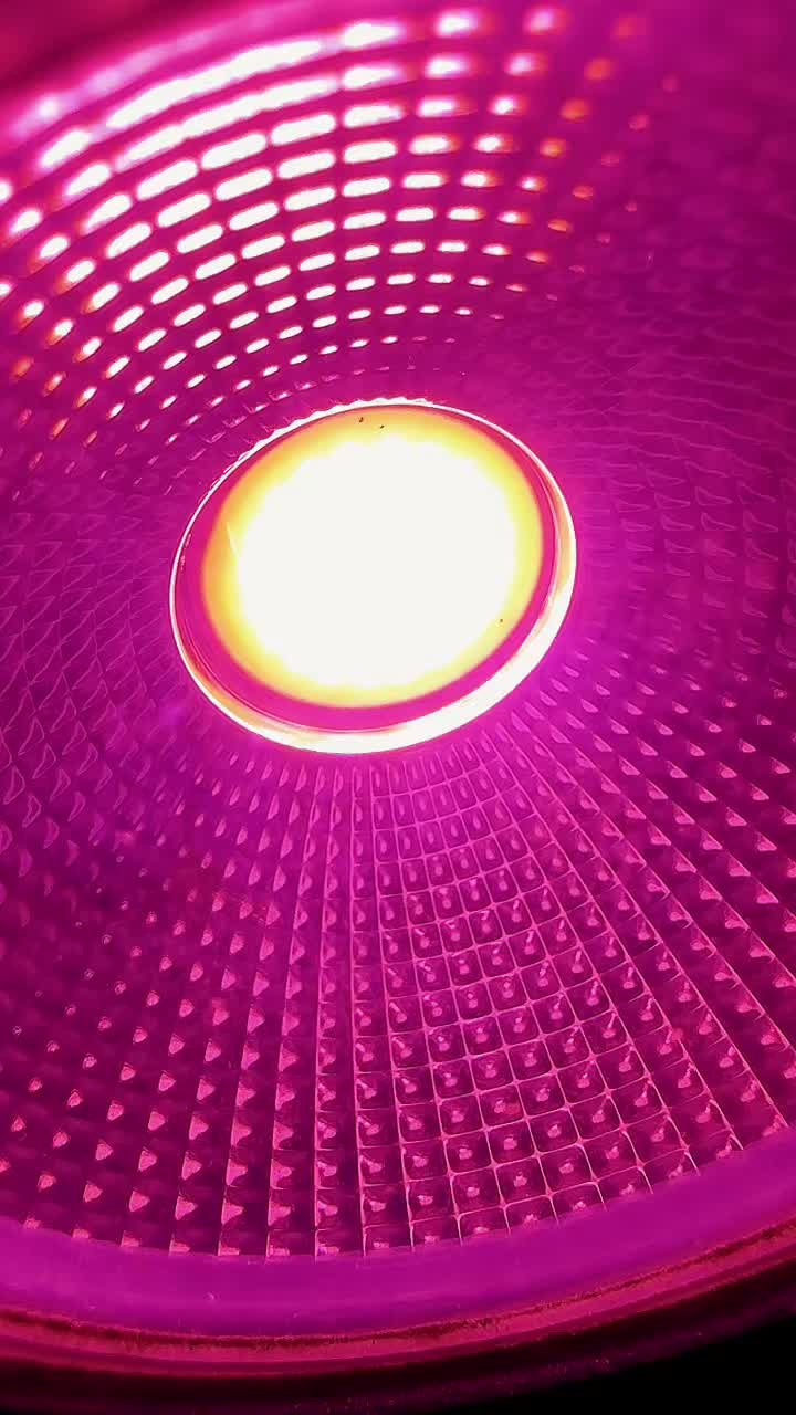 @jamalvlog_07