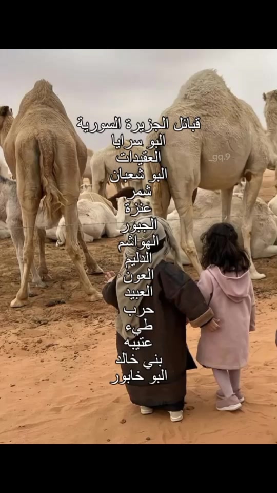 @شام الزبيدي