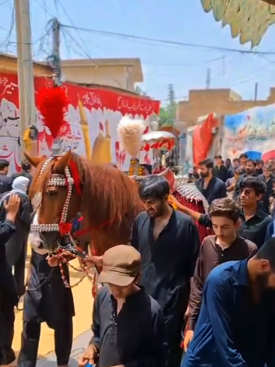 @مرکزی ذوالجناح تلہ گنگ